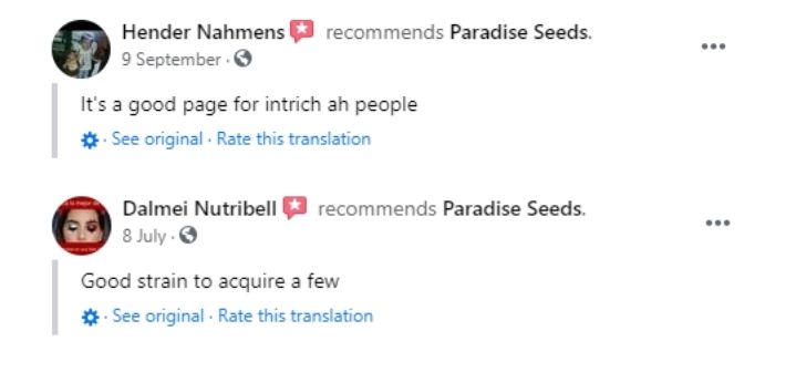 paradise seeds reviews