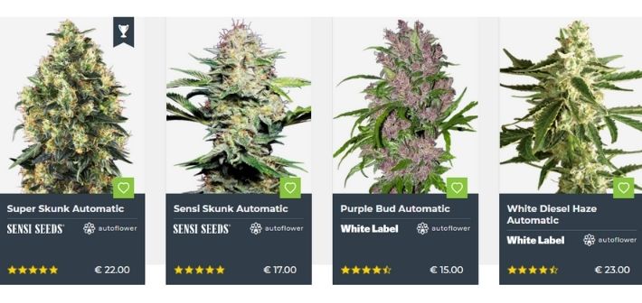 sensi seeds strains