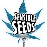 Sensible Seeds