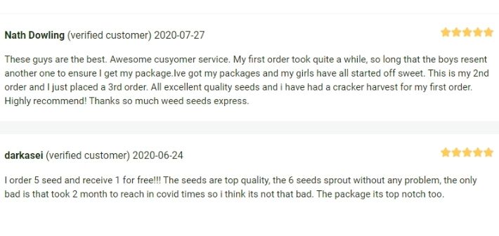 weedseeds express reviews
