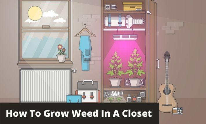how to grow weed in a closet