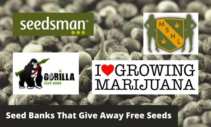 seed banks that give away free seeds