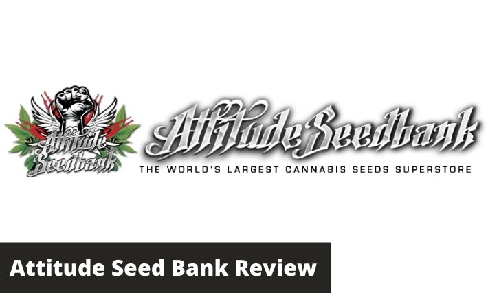 Attitude Seed Bank Review