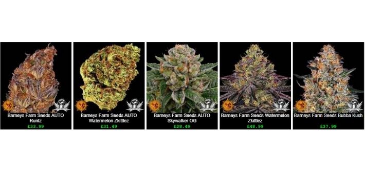 attitude seed bank strains