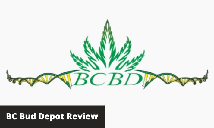 bc bud depot review