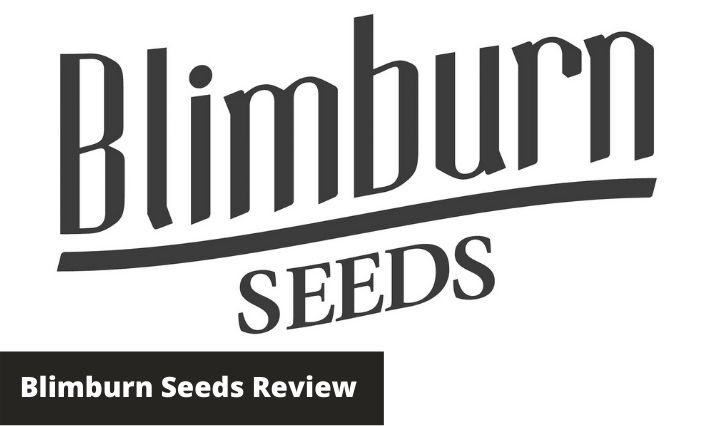 blimburn seeds review