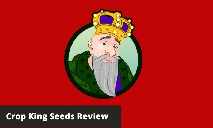 crop king seeds review