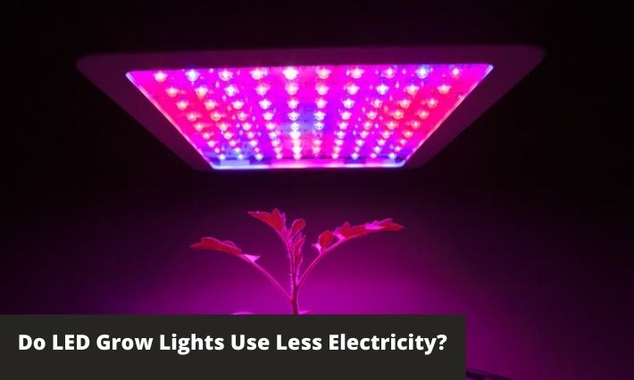 Do LED Grow Lights Use Less Electricity