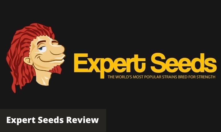 expert seeds review