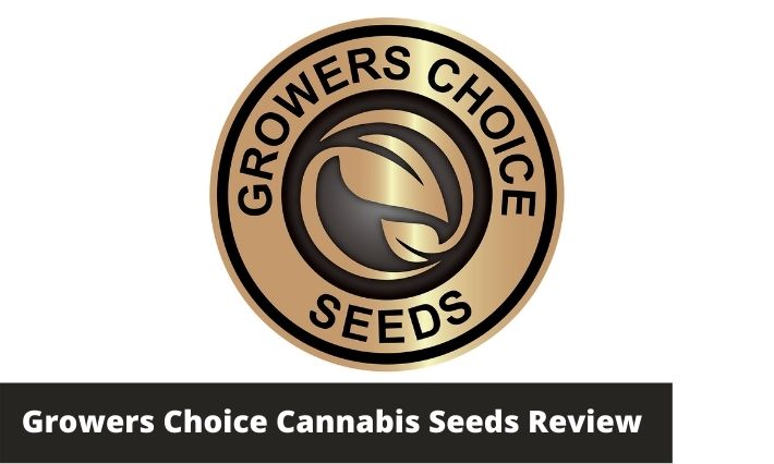 growers choice seeds cannabis seeds review