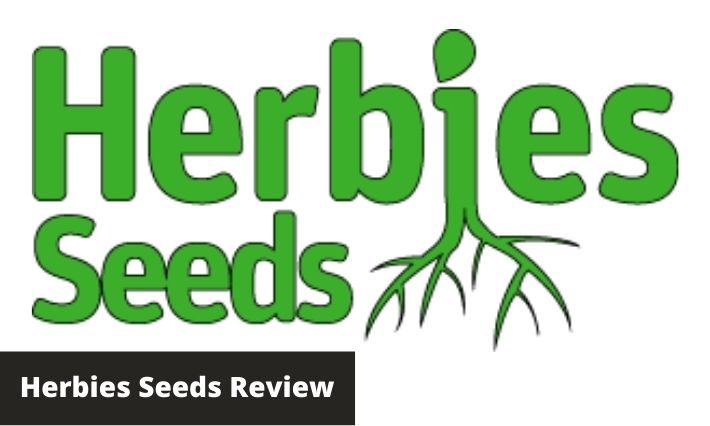 herbies seeds review