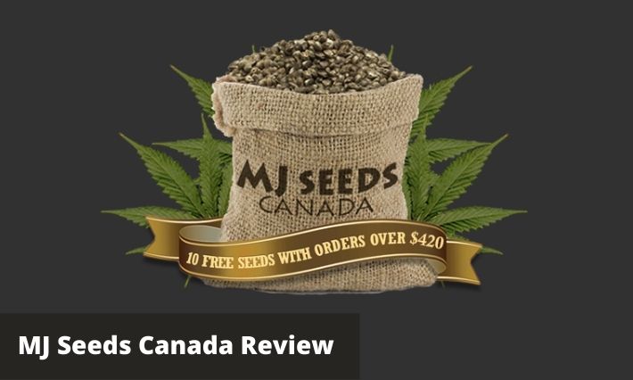 mj seeds canada review