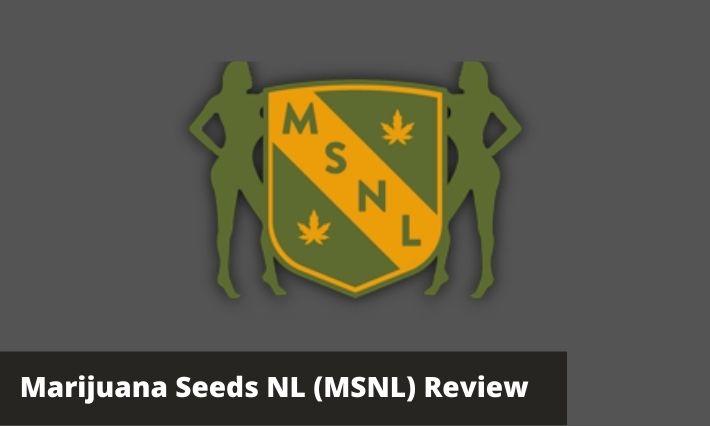 msnl seeds review