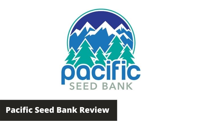 pacific seed bank review