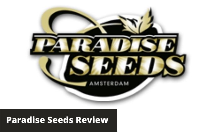 paradise seeds review