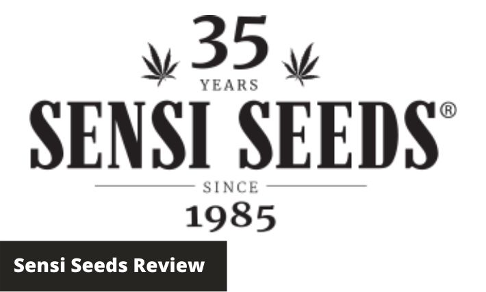 sensi seeds review