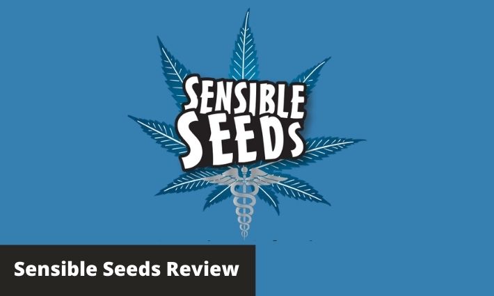 sensible seeds review