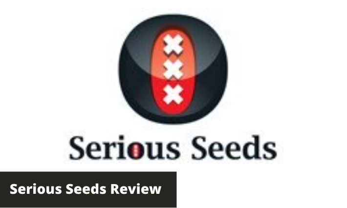 serious seeds review