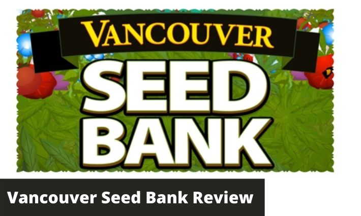 Vancouver Seed Bank Review