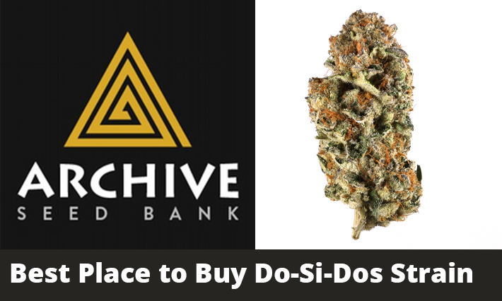 best place to buy do si dos strain
