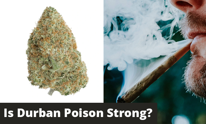 is durban poison strong