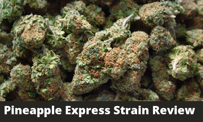 Pineapple Express Strain Review 1