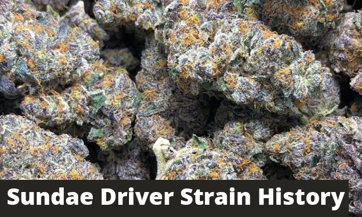 Sundae Driver Strain History