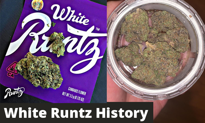White Runtz History