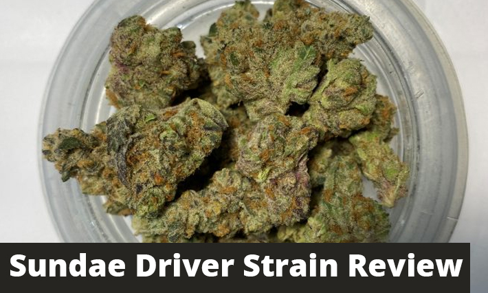 sundae driver strain review