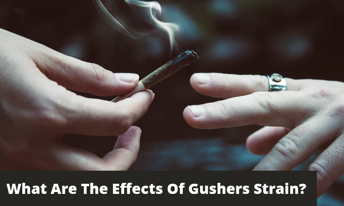 what are the effects of gushers strain