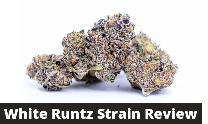 white runtz strain review