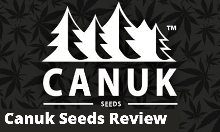 Canuk Seeds Reviews