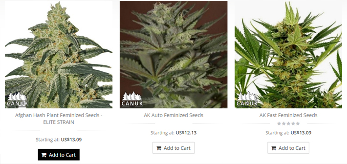 canuk seeds strains