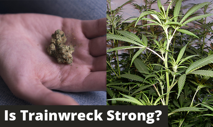 Is-Trainwreck-Strong