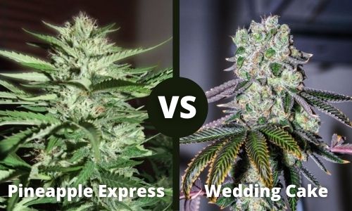Pineapple Express vs Wedding Cake