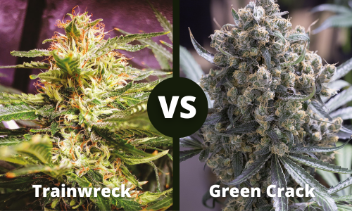 Trainwreck vs Green Crack