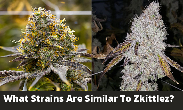 What Strains Are Similar To Zkittlez