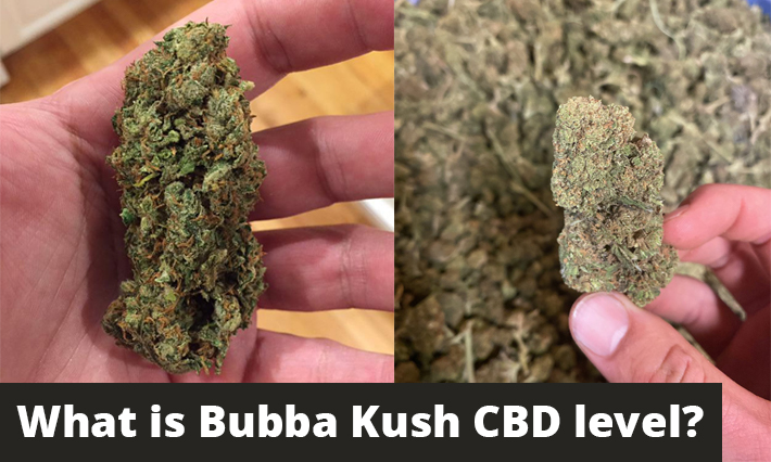 What is Bubba Kush CBD level