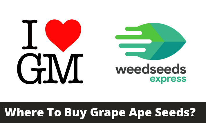 Where To Buy Grape Ape Seeds