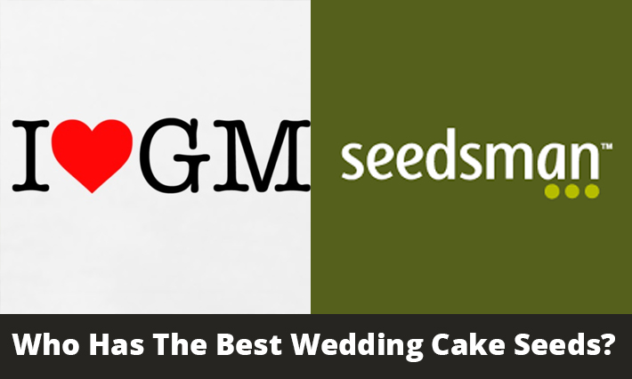 Who Has The Best Wedding Cake Seeds