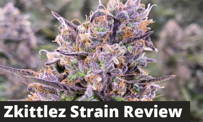 Zkittlez Strain Review