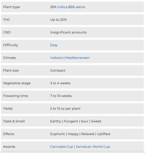 Gorilla Glue Auto Characteristics