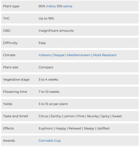 Northern Lights Auto characteristics