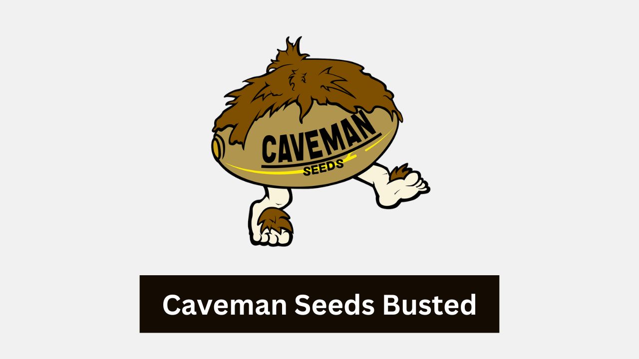 Caveman seeds busted