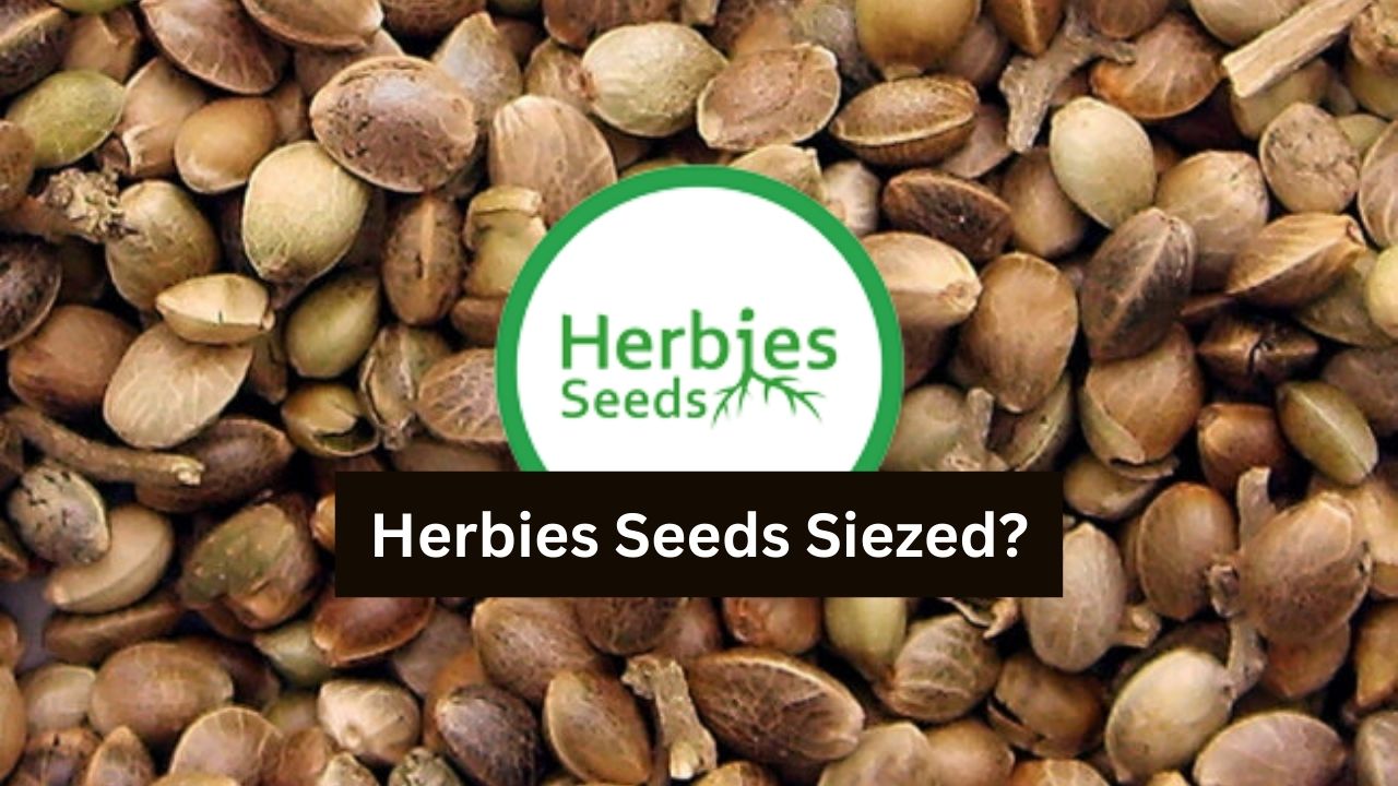Herbies seeds seized