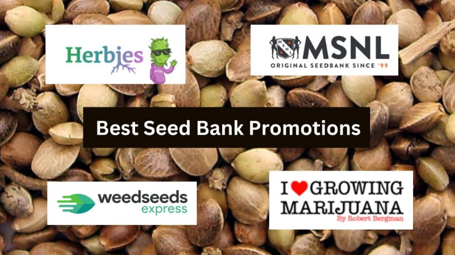 Best seed bank promotions