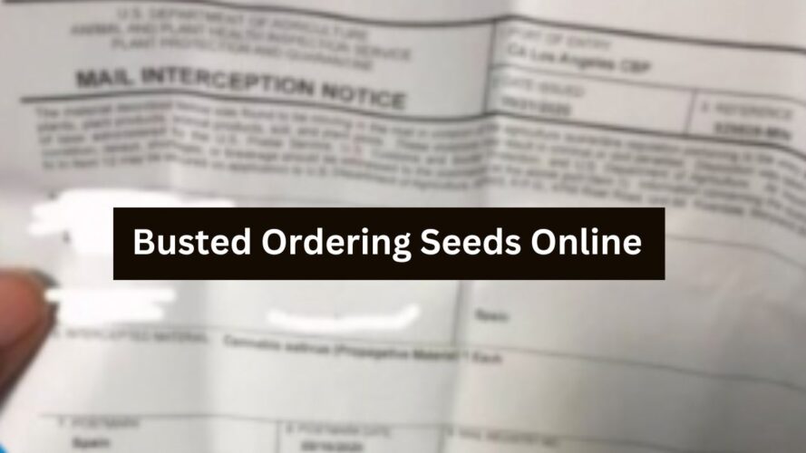 busted ordering seeds online