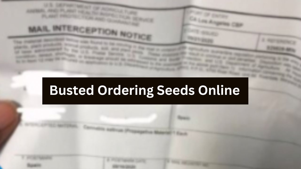 Busted For Ordering Seeds Online
