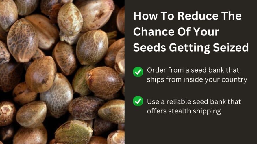 how to stop seeds getting seized