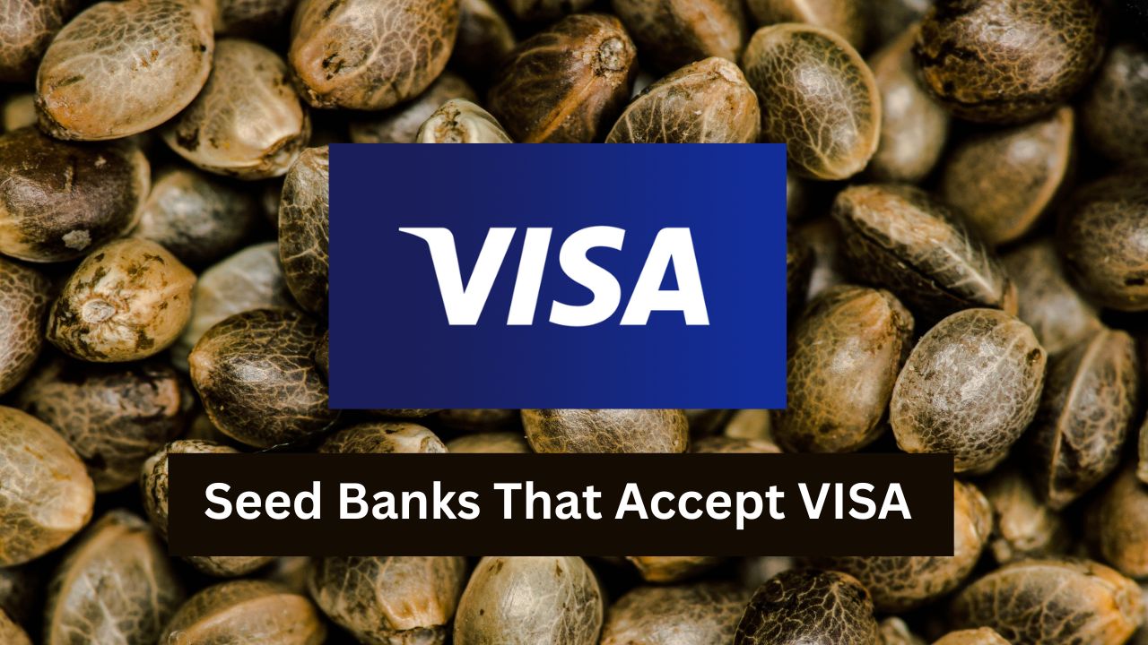 Seed Banks That Accept Visa Credit Cards